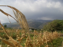 Турецкая фигня, сентябрь 2011.