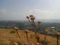 Турецкая фигня, сентябрь 2011.