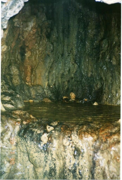 1998