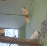 Турецкая фигня, сентябрь 2011.