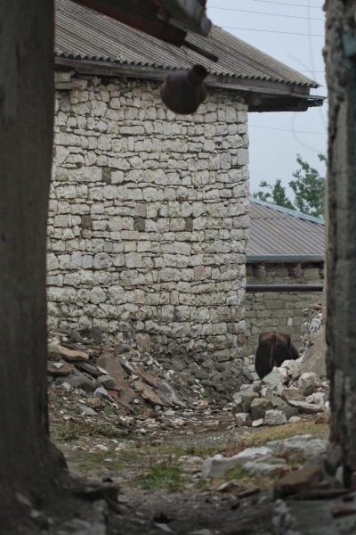 Выходные в Дагестане