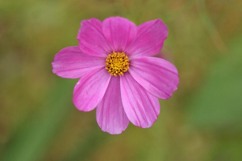 Выходные в Дагестане