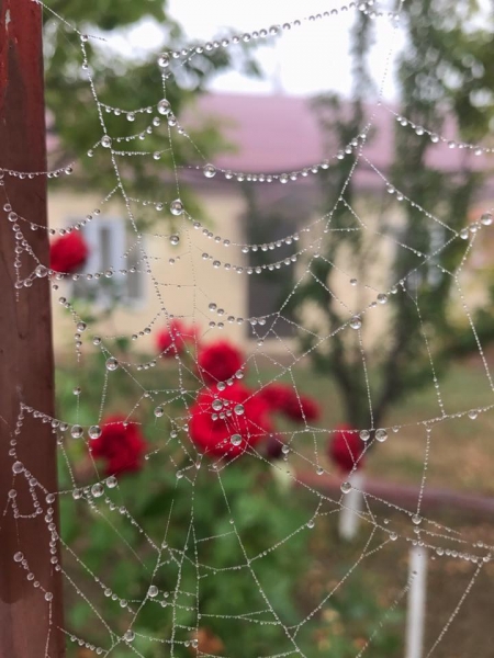 Выходные в Дагестане