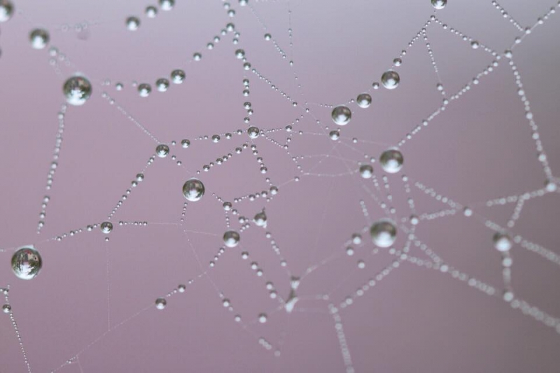 Выходные в Дагестане