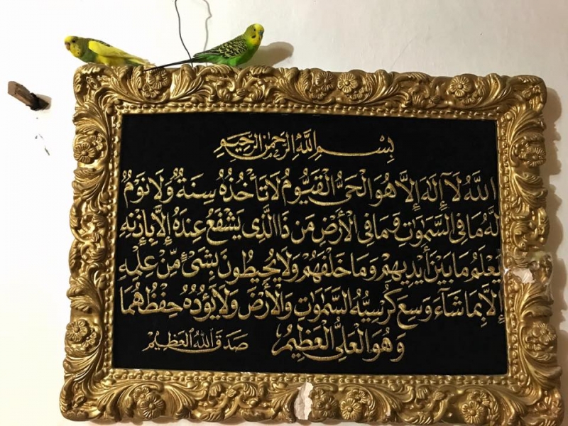 Выходные в Дагестане