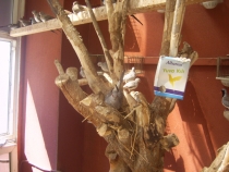 Турецкая фигня, сентябрь 2011.