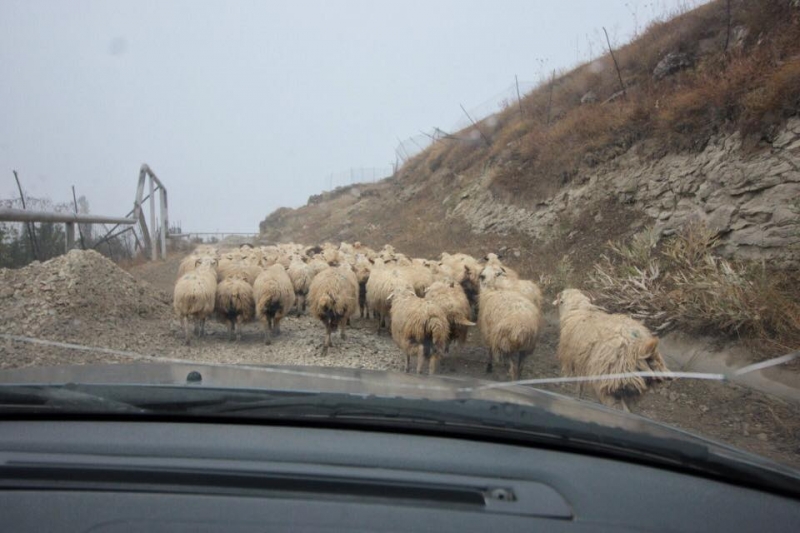 Выходные в Дагестане