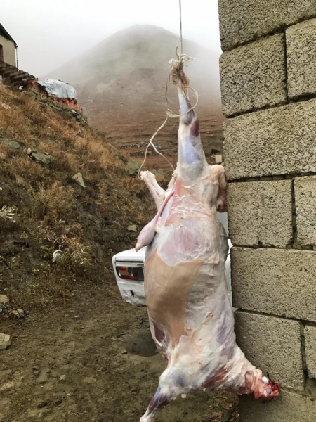 Выходные в Дагестане