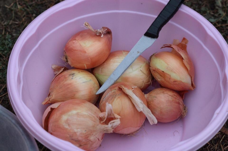 Выходные в Дагестане