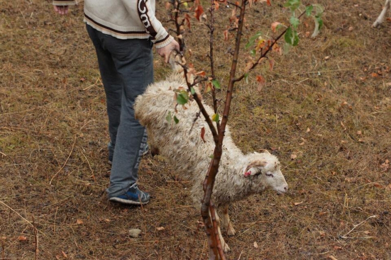 Выходные в Дагестане