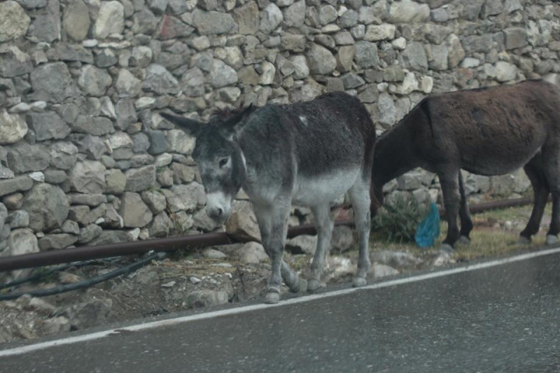 Выходные в Дагестане