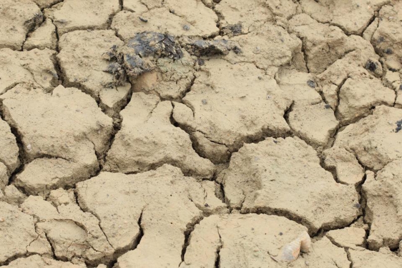 Выходные в Дагестане