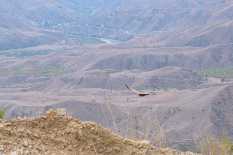 Выходные в Дагестане