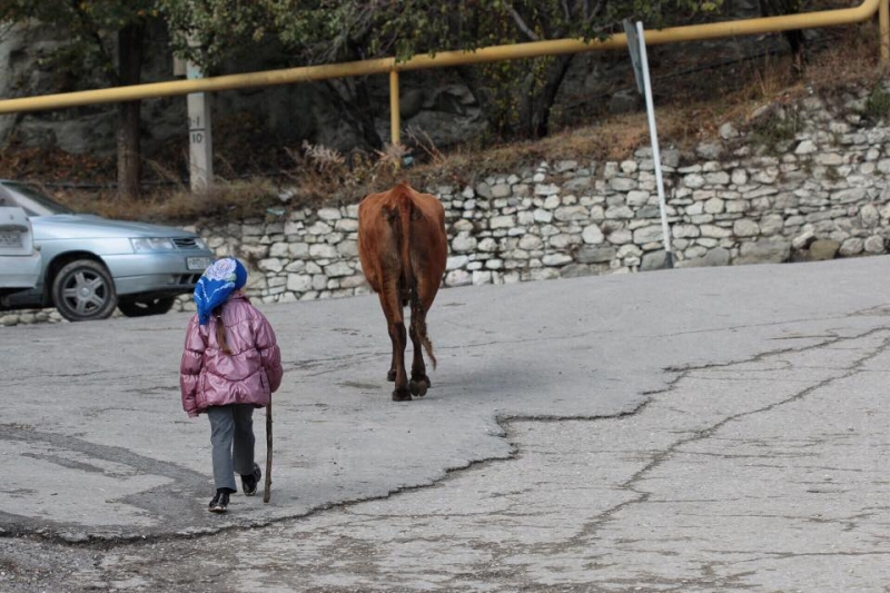 Выходные в Дагестане