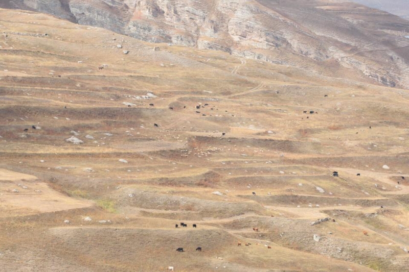 Выходные в Дагестане