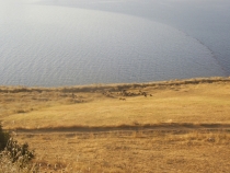 Турецкая фигня, сентябрь 2011.