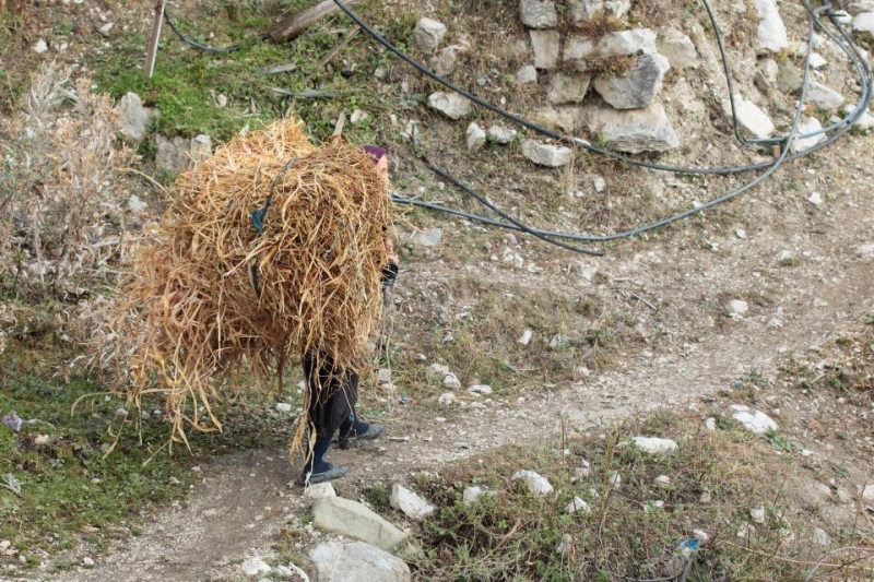 Выходные в Дагестане