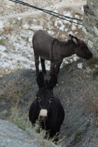 Выходные в Дагестане