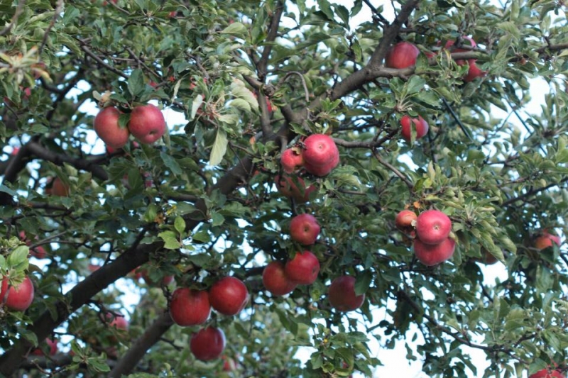 Выходные в Дагестане