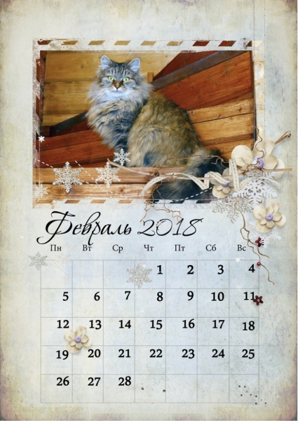 Кошки в нашей жизни. Кошки и все, что с ними связано.