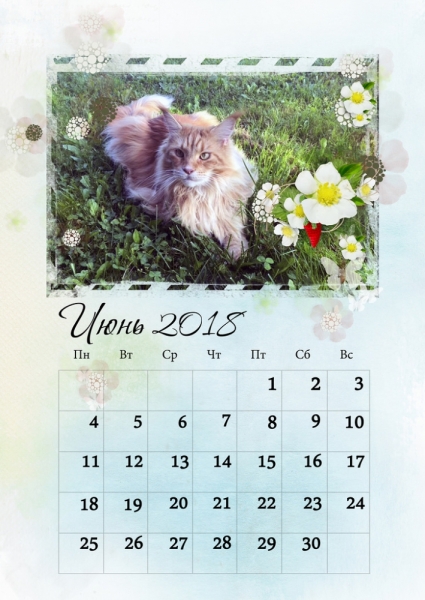 Кошки в нашей жизни. Кошки и все, что с ними связано.