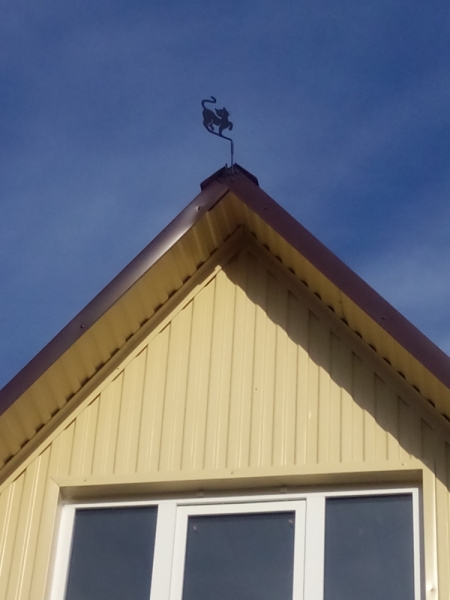 Кошки в нашей жизни. Кошки и все, что с ними связано.