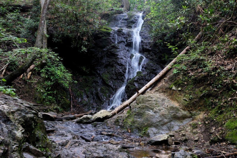 Shenandoah -> Blue Ridge Parkway -> Great Smoky Mountains - слайды и координаты