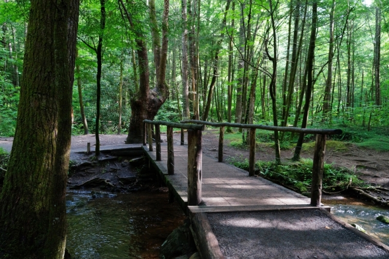 Shenandoah -> Blue Ridge Parkway -> Great Smoky Mountains - слайды и координаты