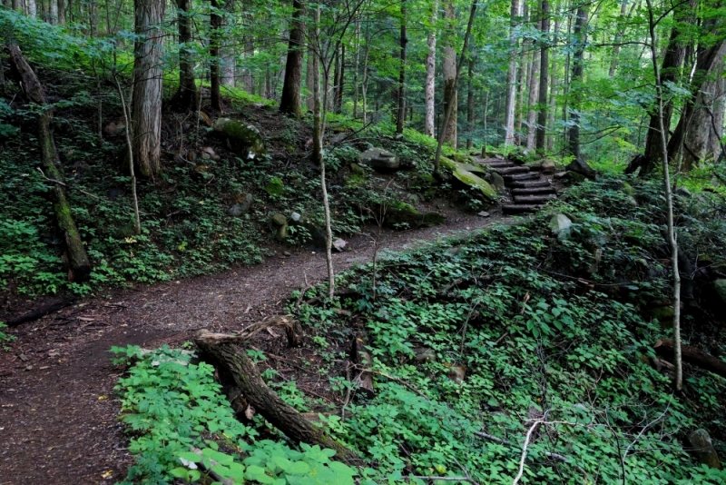 Shenandoah -> Blue Ridge Parkway -> Great Smoky Mountains - слайды и координаты