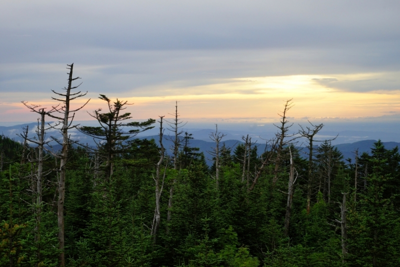 Shenandoah -> Blue Ridge Parkway -> Great Smoky Mountains - слайды и координаты