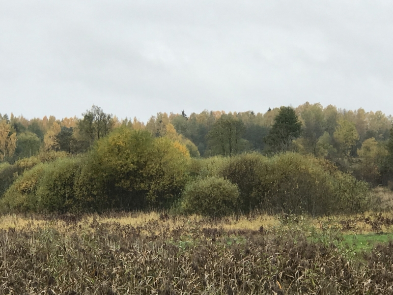 Калининград-Бирштонас-Вильнюс-Рига-Копенгаген: путешествие по южной Балтике.