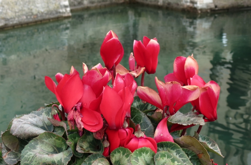 Случайная Италия. Просто погулять. Бергамо-Больцано-Брешиа, март 2017.