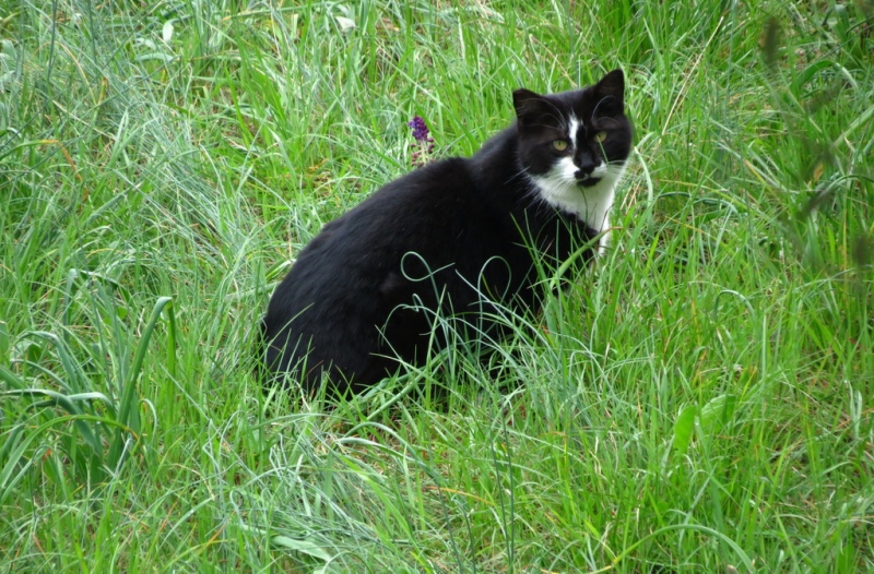 Случайная Италия. Просто погулять. Бергамо-Больцано-Брешиа, март 2017.