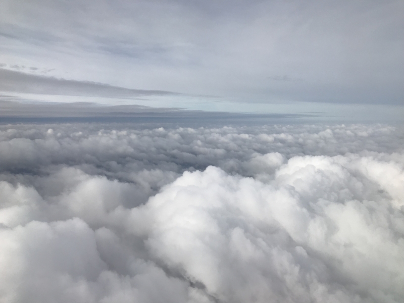 Калининград-Бирштонас-Вильнюс-Рига-Копенгаген: путешествие по южной Балтике.