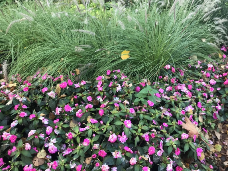 Калининград-Бирштонас-Вильнюс-Рига-Копенгаген: путешествие по южной Балтике.