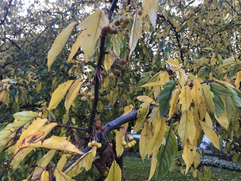 Калининград-Бирштонас-Вильнюс-Рига-Копенгаген: путешествие по южной Балтике.