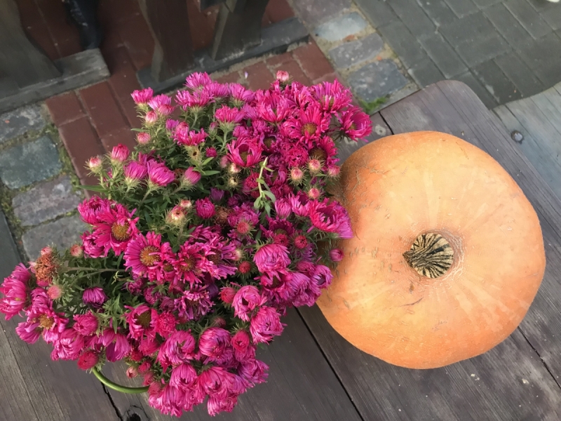 Калининград-Бирштонас-Вильнюс-Рига-Копенгаген: путешествие по южной Балтике.