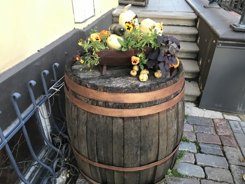 Калининград-Бирштонас-Вильнюс-Рига-Копенгаген: путешествие по южной Балтике.