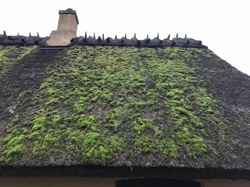 Калининград-Бирштонас-Вильнюс-Рига-Копенгаген: путешествие по южной Балтике.