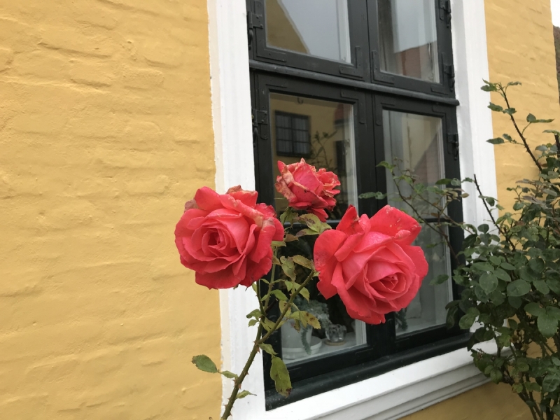 Калининград-Бирштонас-Вильнюс-Рига-Копенгаген: путешествие по южной Балтике.