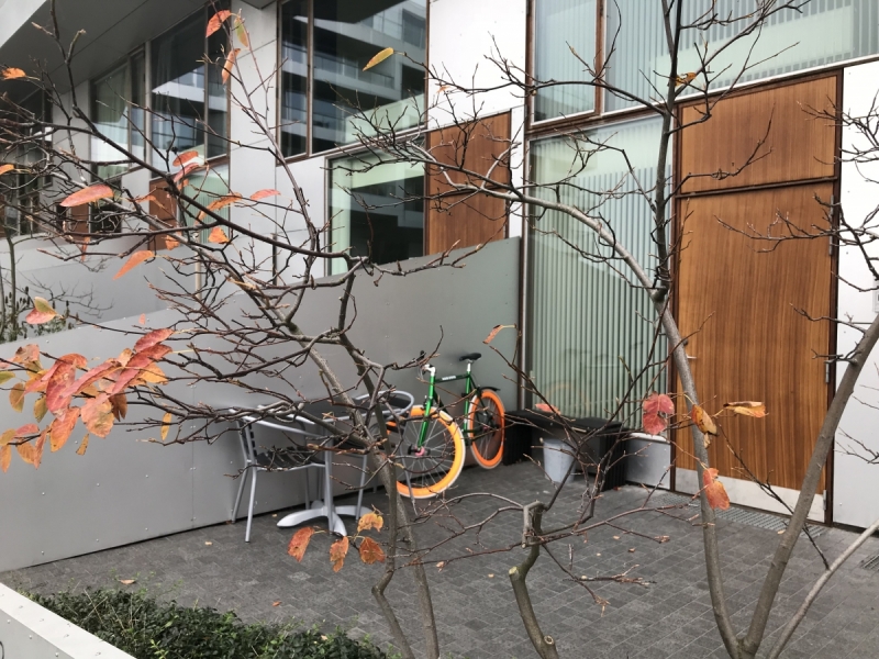 Калининград-Бирштонас-Вильнюс-Рига-Копенгаген: путешествие по южной Балтике.