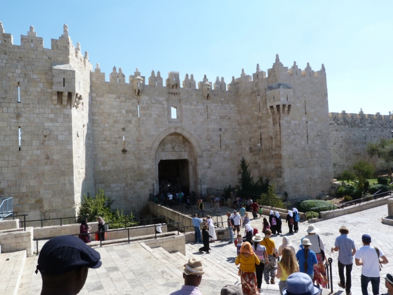 Живые камни Израиля (путешествия по Библейским местам 2014 / 2016 и еще более ранних лет)