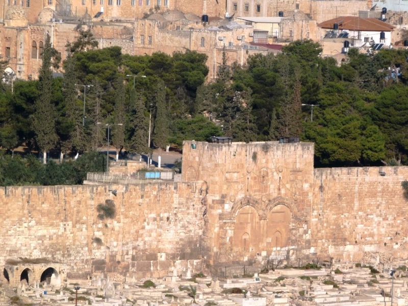2014 (6)