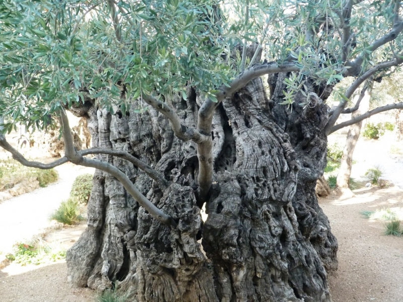 2014 (6)