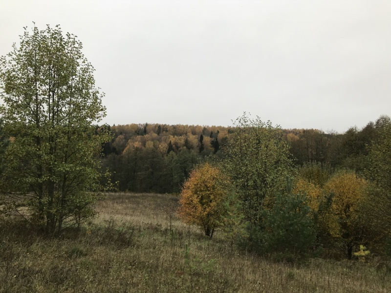 Калининград-Бирштонас-Вильнюс-Рига-Копенгаген: путешествие по южной Балтике.