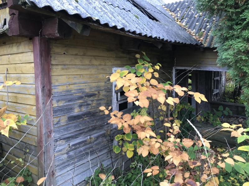 Калининград-Бирштонас-Вильнюс-Рига-Копенгаген: путешествие по южной Балтике.