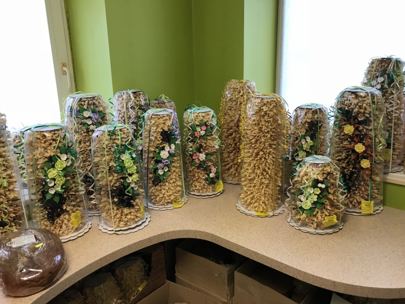 Калининград-Бирштонас-Вильнюс-Рига-Копенгаген: путешествие по южной Балтике.