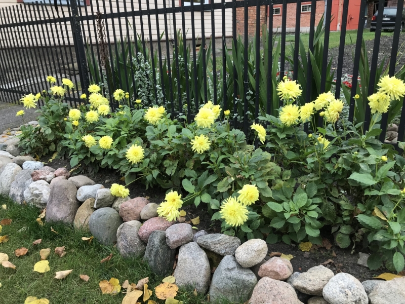 Калининград-Бирштонас-Вильнюс-Рига-Копенгаген: путешествие по южной Балтике.