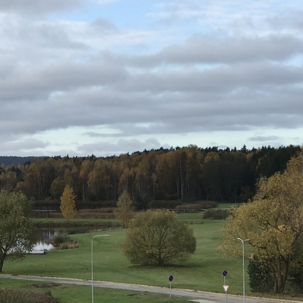 Калининград-Бирштонас-Вильнюс-Рига-Копенгаген: путешествие по южной Балтике.