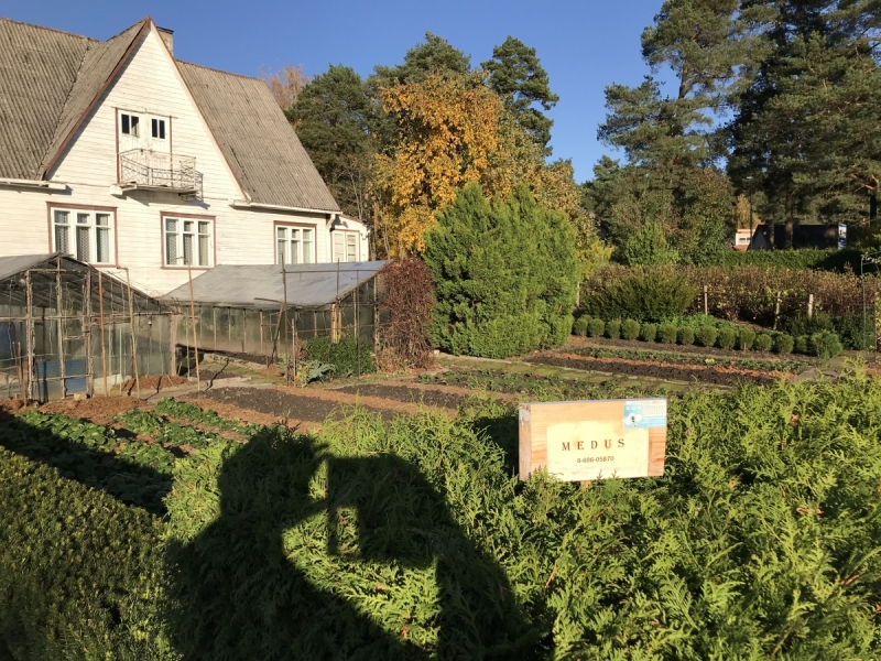 Калининград-Бирштонас-Вильнюс-Рига-Копенгаген: путешествие по южной Балтике.